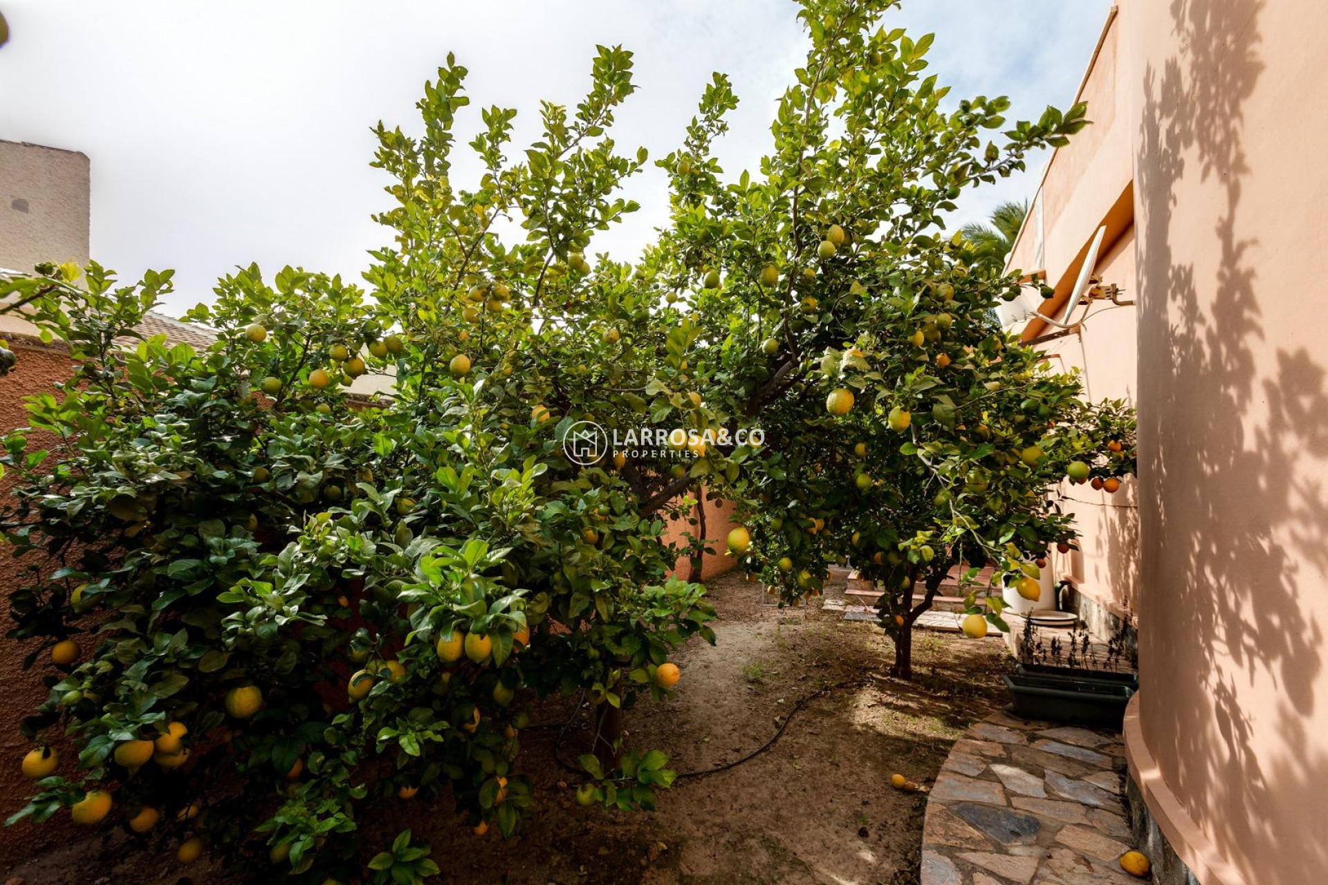 Вторичный рынок - Дом - Торревьеха - San luis