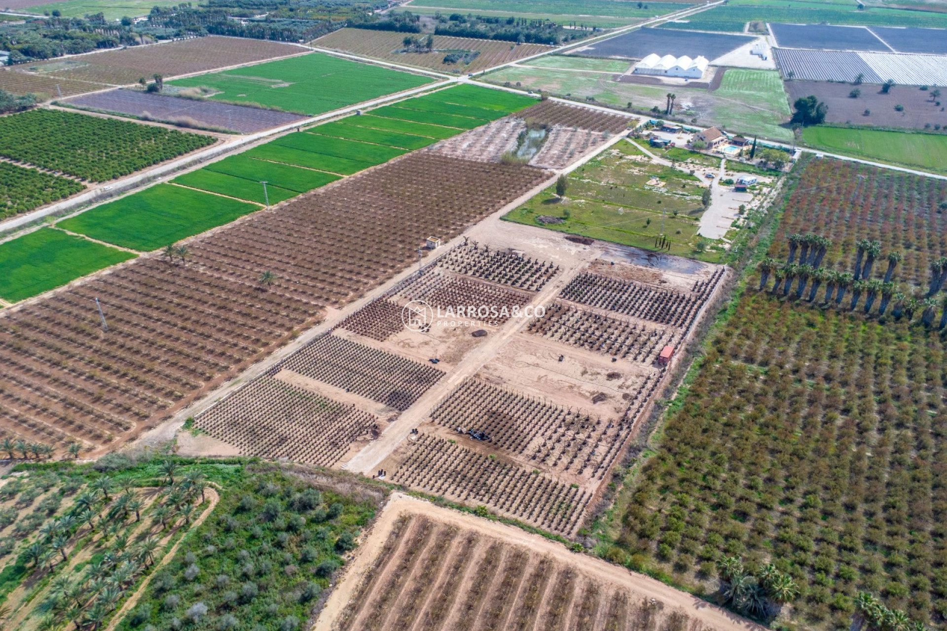 Вторичный рынок - Finca - Crevillente