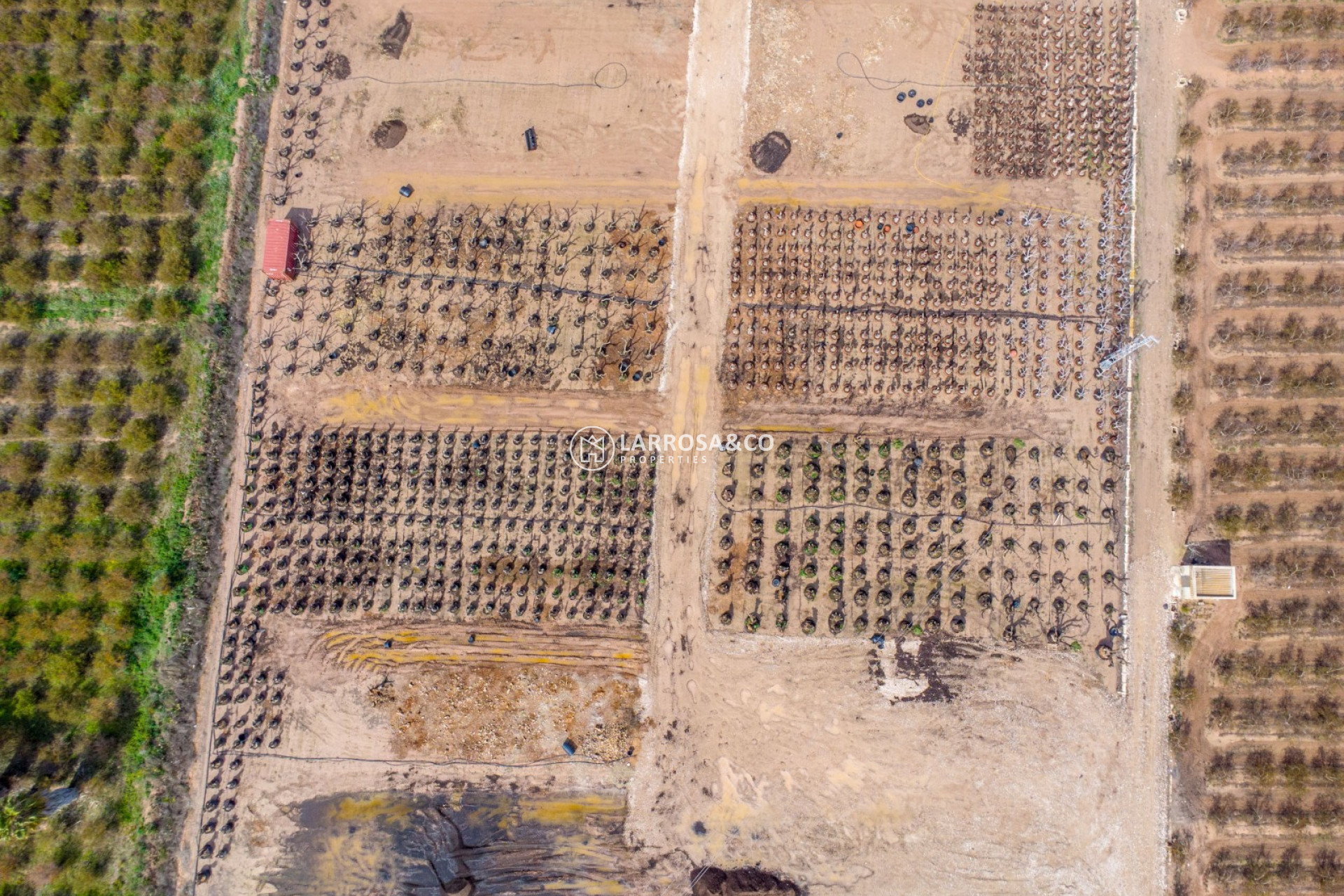 Вторичный рынок - Finca - Crevillente