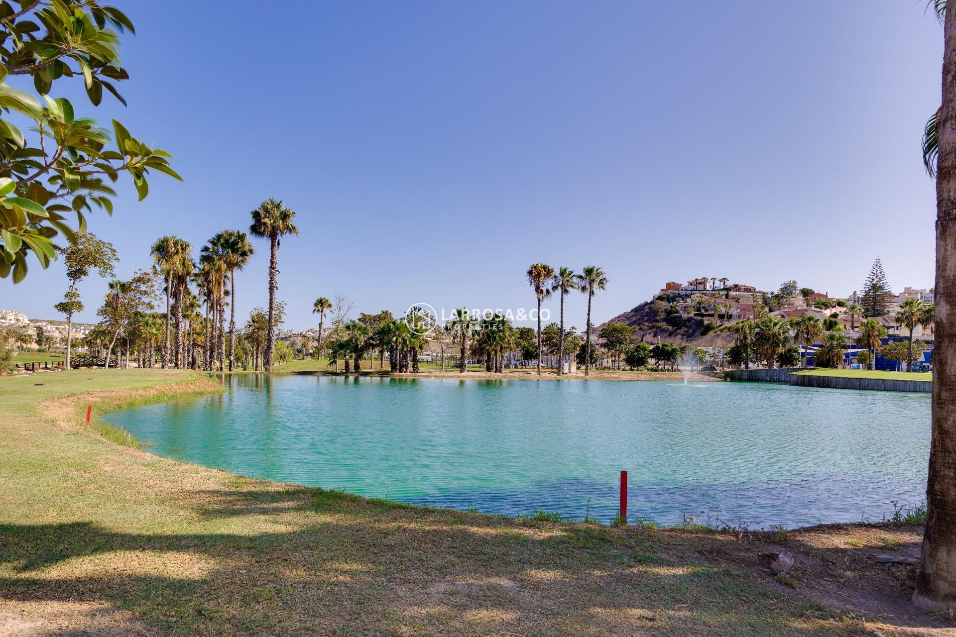 Вторичный рынок - Коммерческая площадь - Сьюдад Кесада - DOÑA PEPA