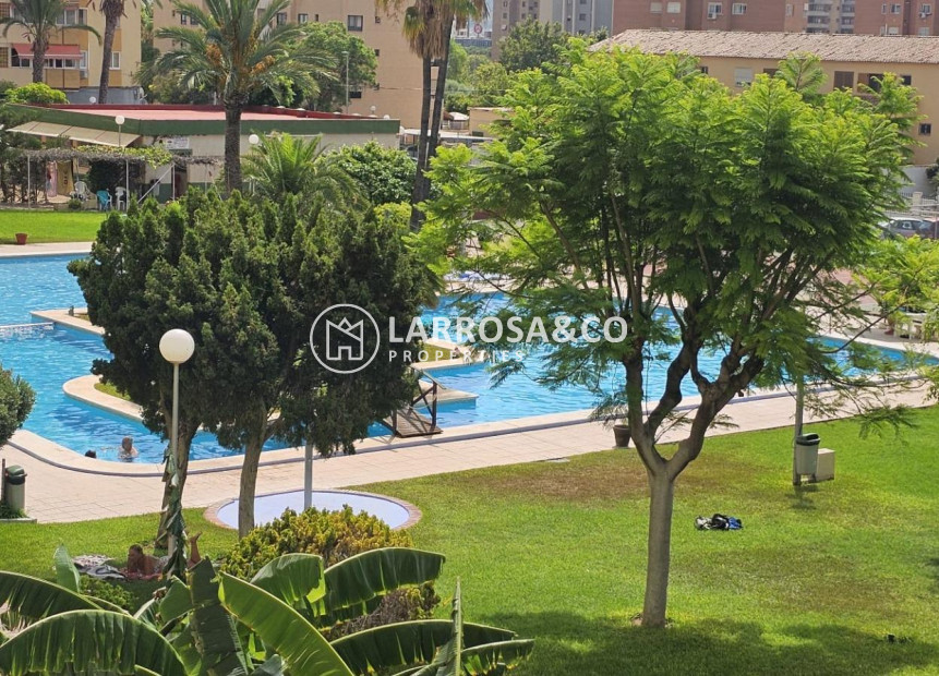 Вторичный рынок - Квартира - Benidorm