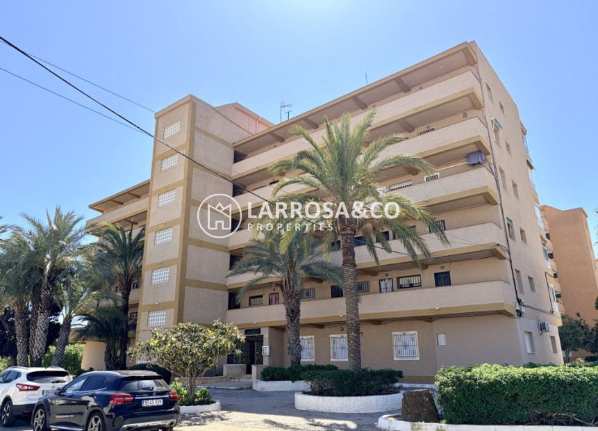 Вторичный рынок - Квартира - Гуардамар дель Сегура - Costa Blanca