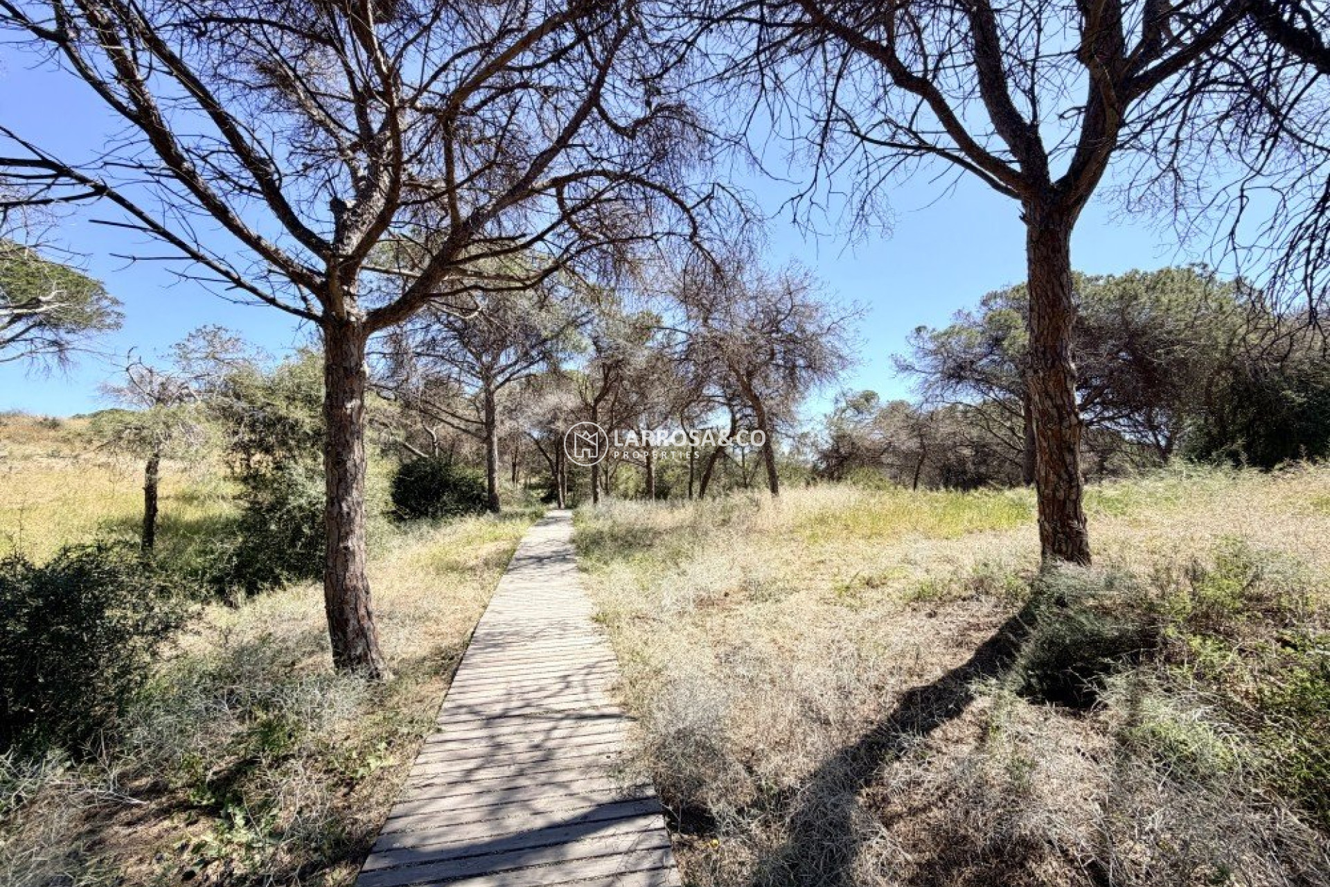 Вторичный рынок - Квартира - Гуардамар дель Сегура - Costa Blanca