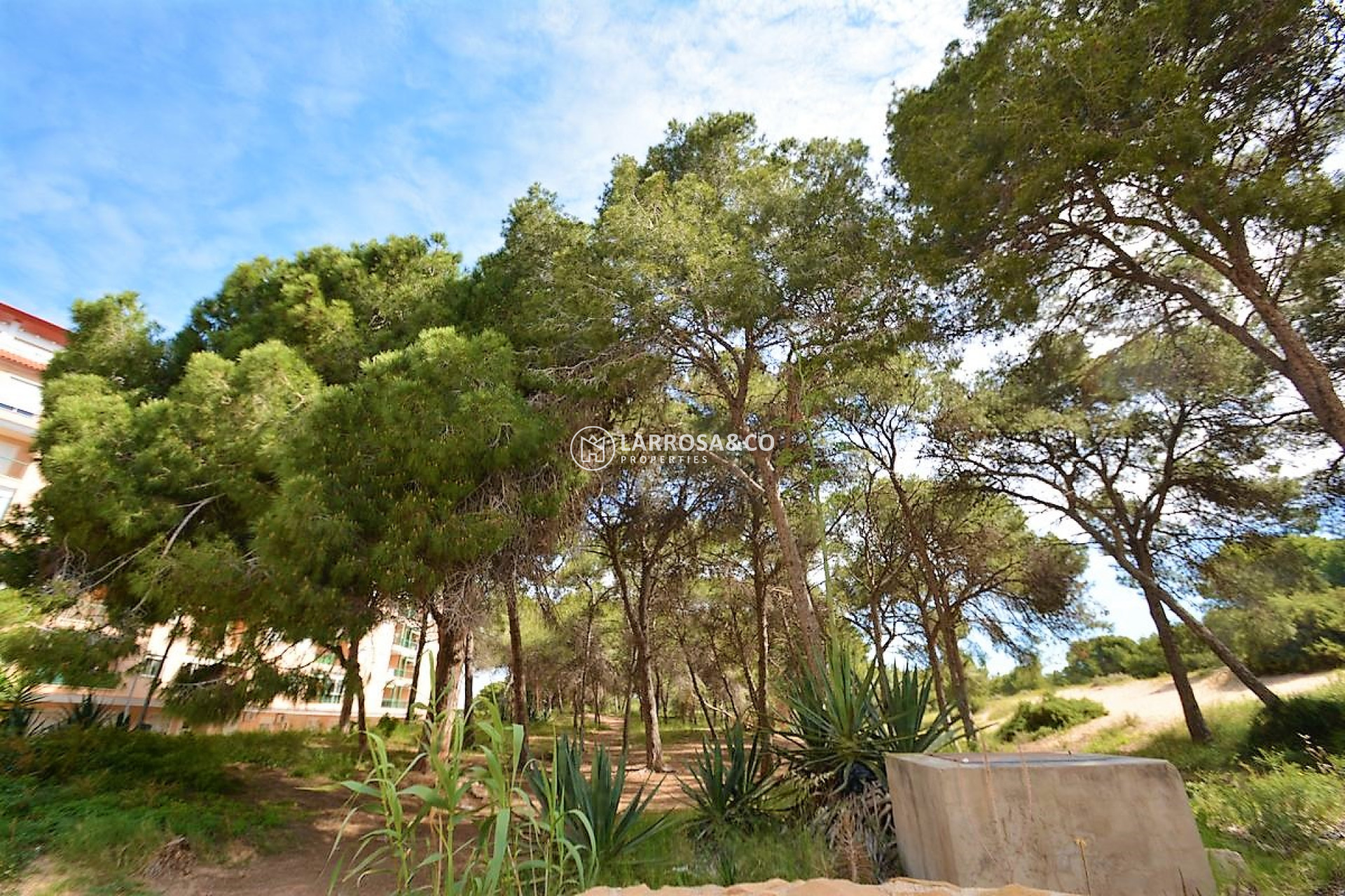 Вторичный рынок - Квартира - Гуардамар дель Сегура - SUP 7