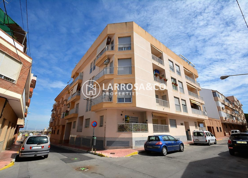 Вторичный рынок - Квартира - Гуардамар дель Сегура - SUP 7