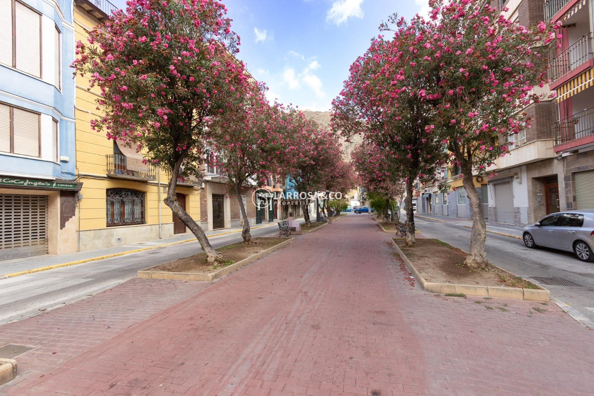 Вторичный рынок - Квартира - Orihuela - Zona Centro