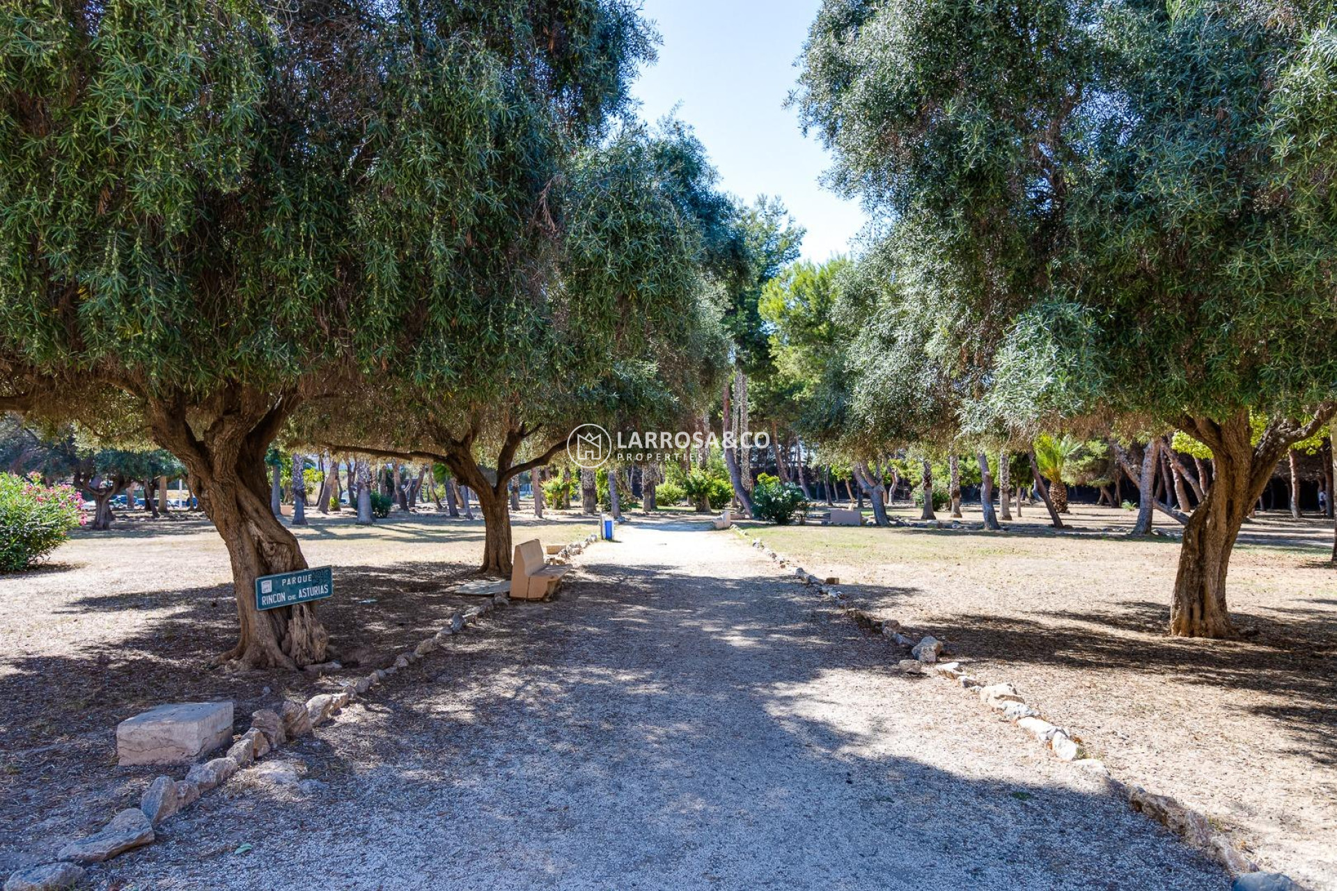 Вторичный рынок - Квартира - Торревьеха - Acequion