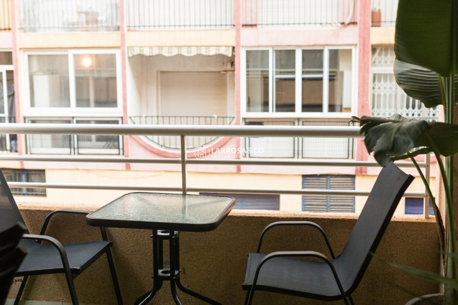 Вторичный рынок - Квартира - Торревьеха - Costa Blanca