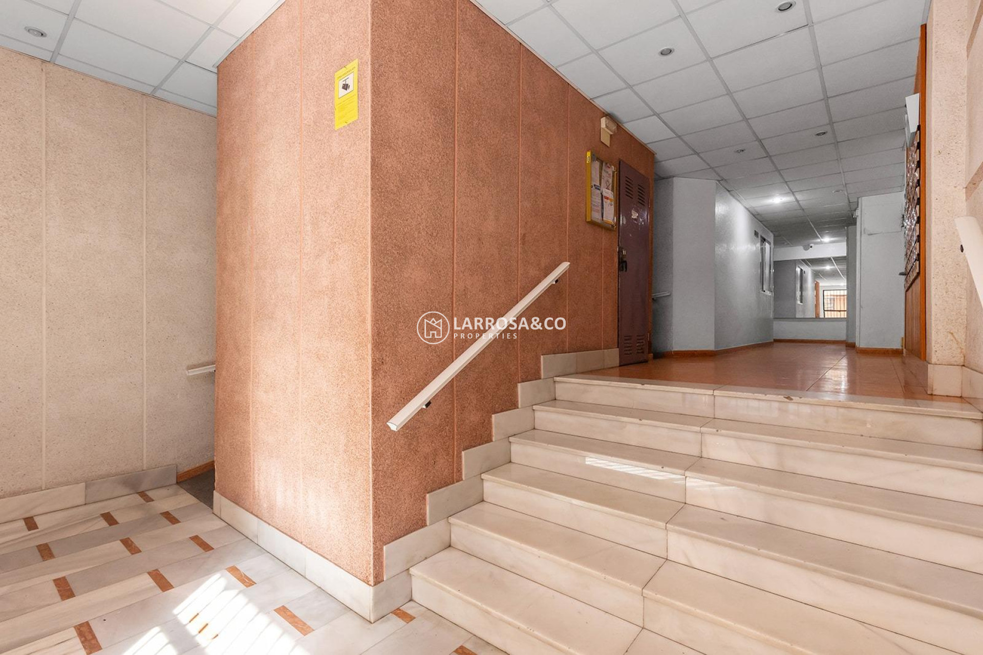 Вторичный рынок - Квартира - Торревьеха - Estacion de autobuses