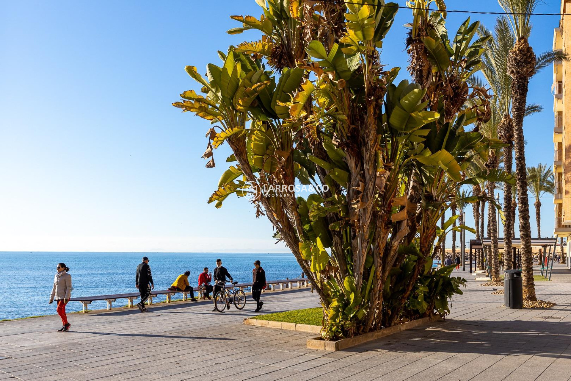 Вторичный рынок - Квартира - Торревьеха - Playa del cura