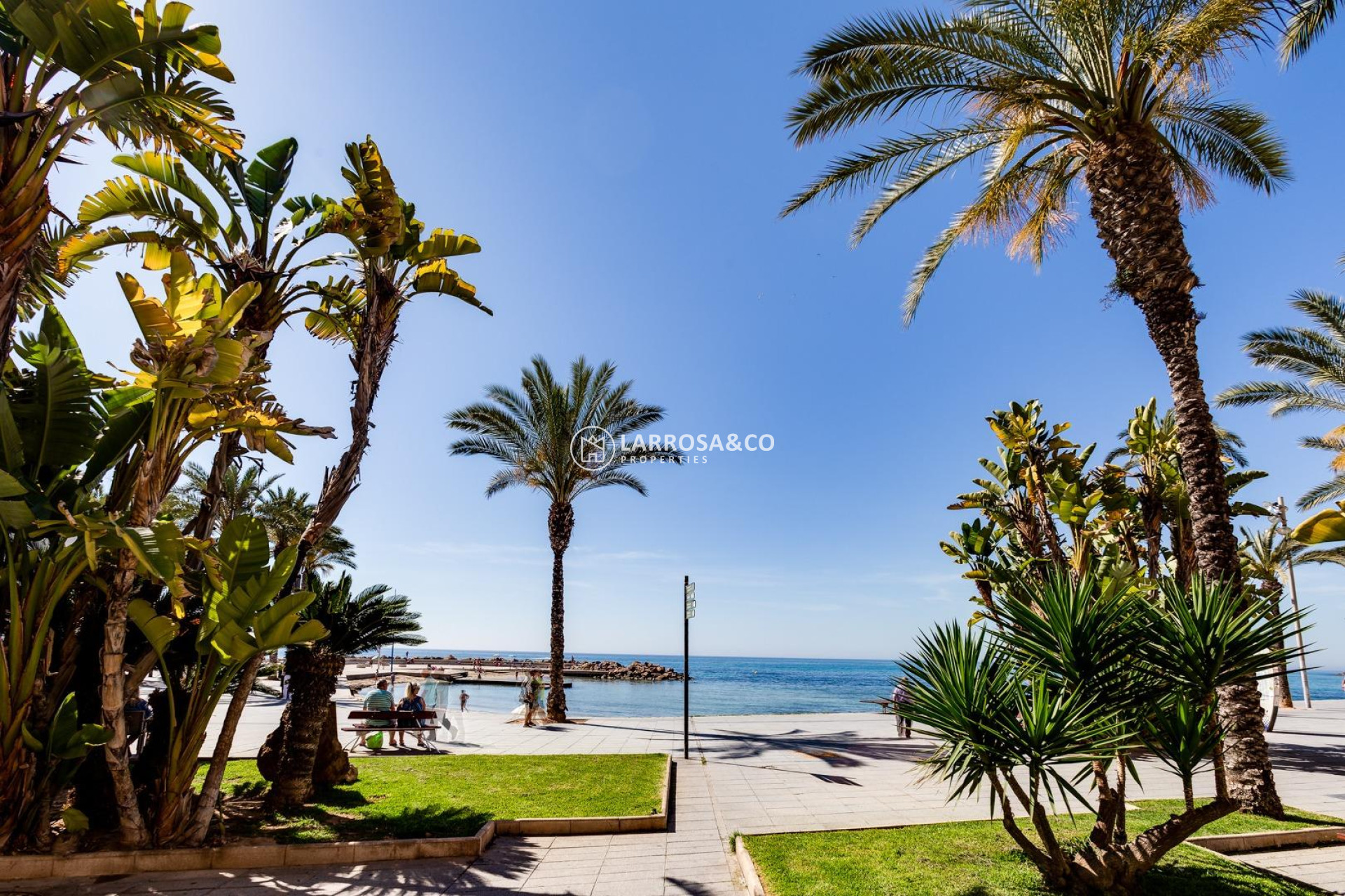 Вторичный рынок - Квартира - Торревьеха - Playa del cura