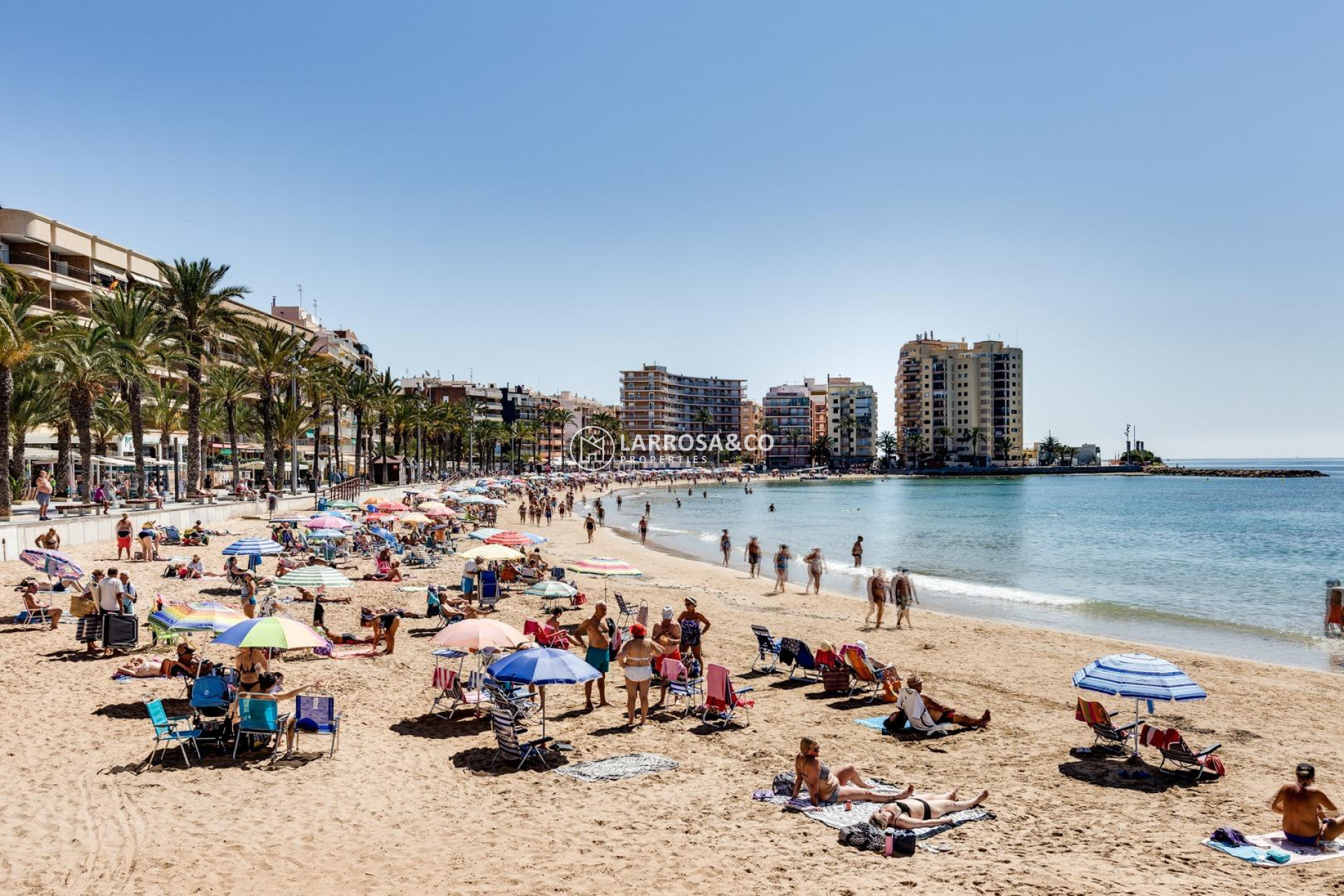 Вторичный рынок - Квартира - Торревьеха - Playa del cura