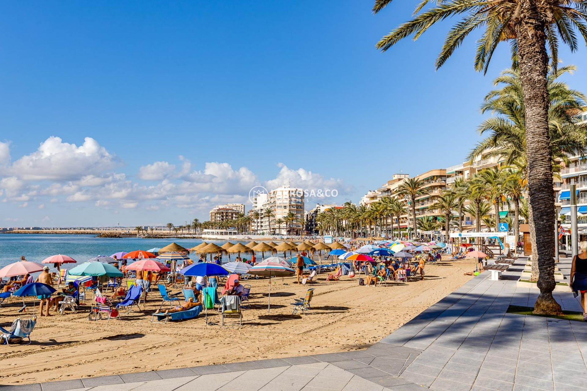 Вторичный рынок - Квартира - Торревьеха - Playa del cura