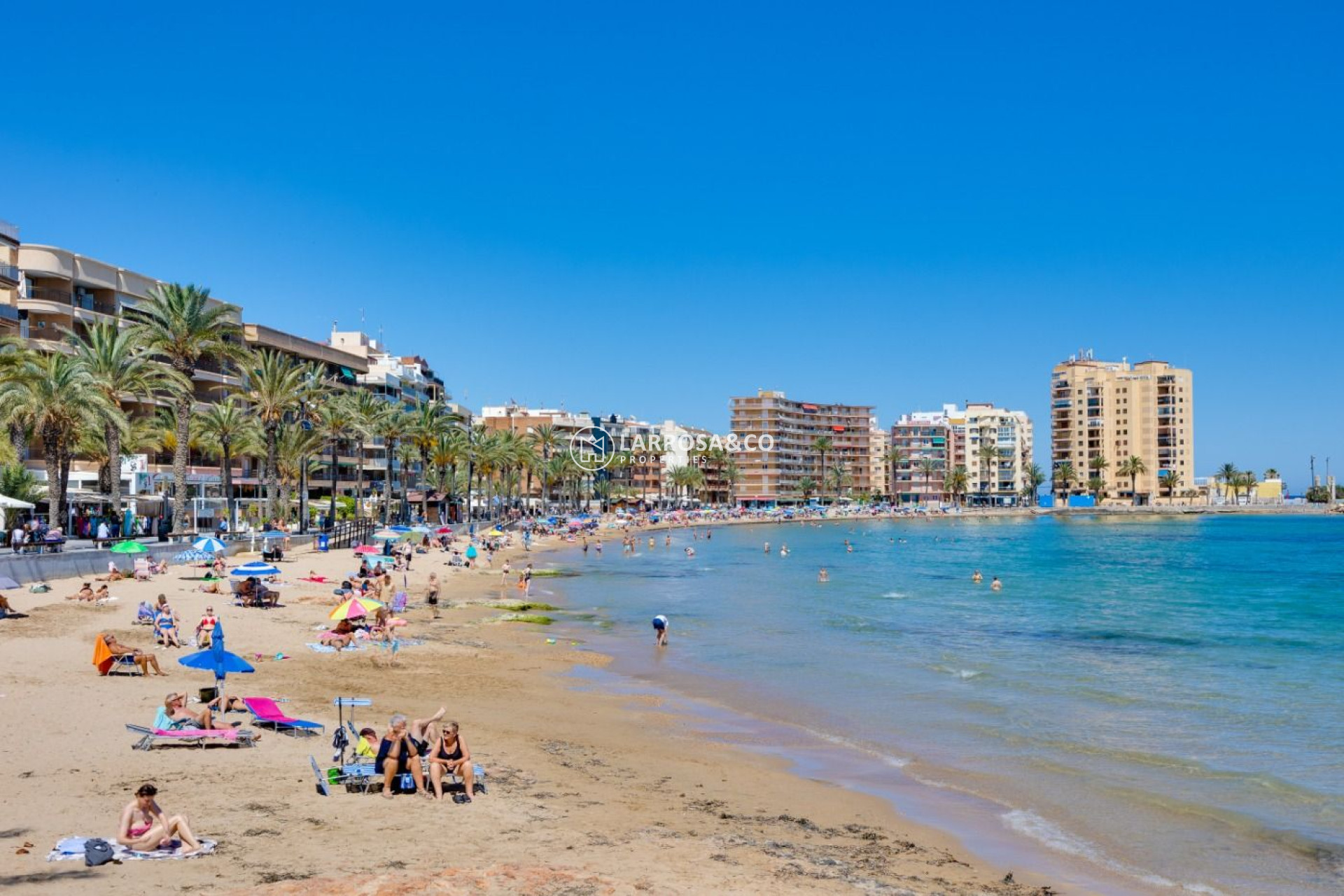 Вторичный рынок - Квартира - Торревьеха - Playa del cura