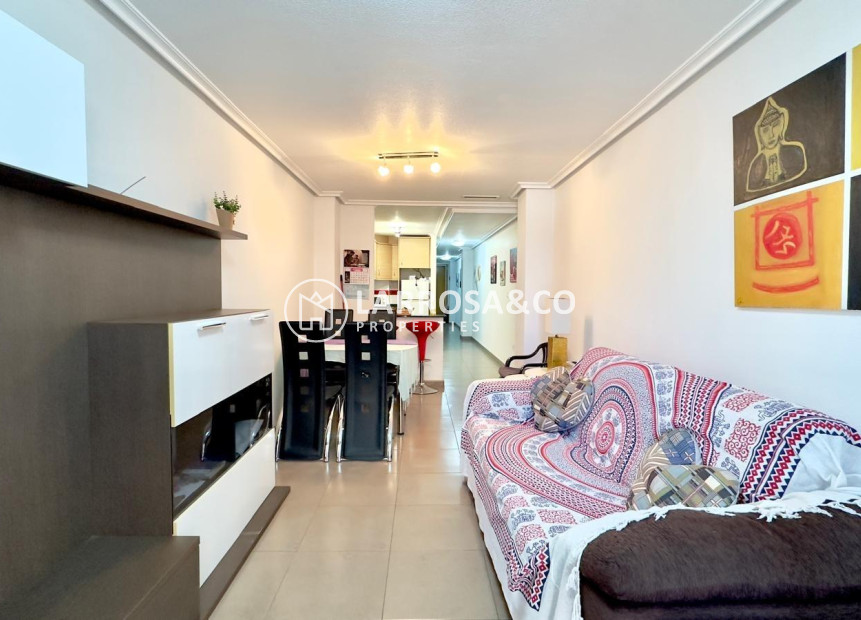 Вторичный рынок - Квартира - Торревьеха - torrevieja