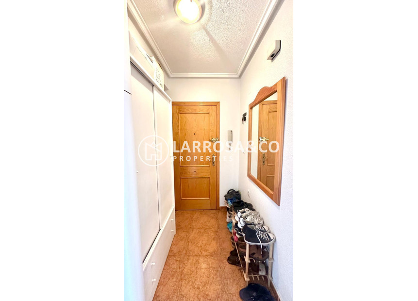 Вторичный рынок - Квартира - Торревьеха - torrevieja