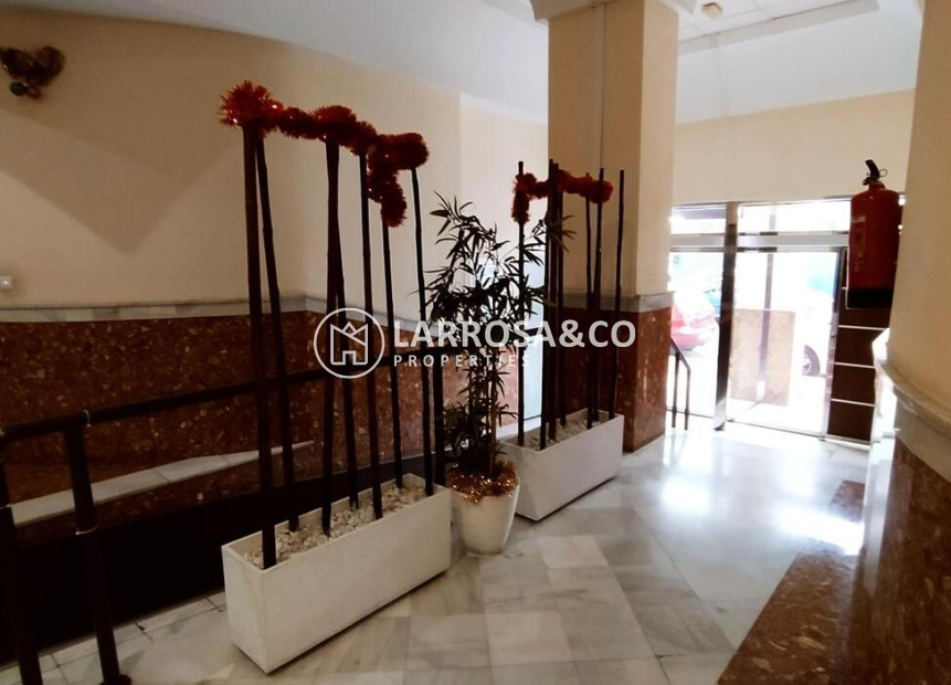 Вторичный рынок - Квартира - Торревьеха - torrevieja