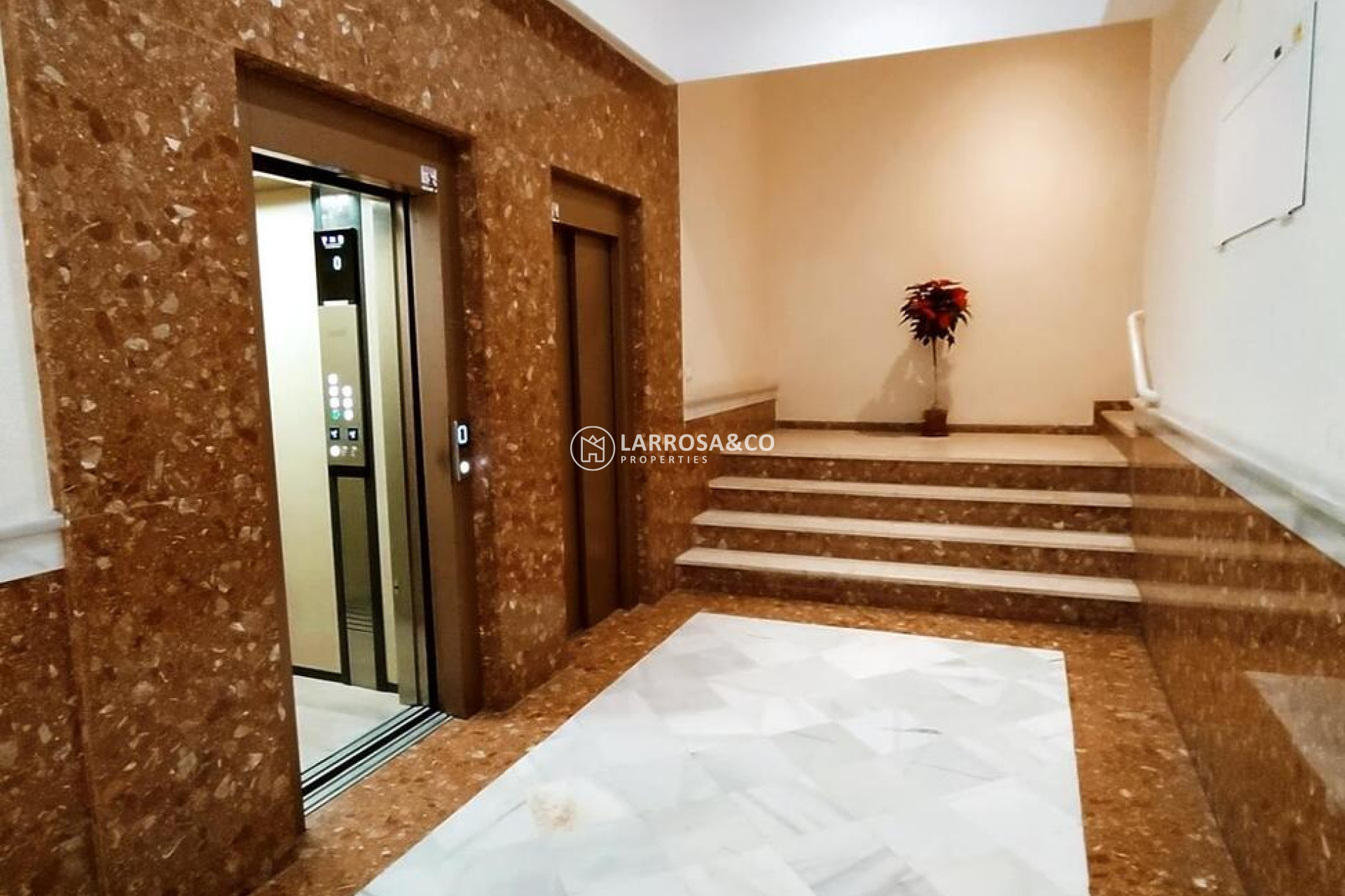 Вторичный рынок - Квартира - Торревьеха - torrevieja