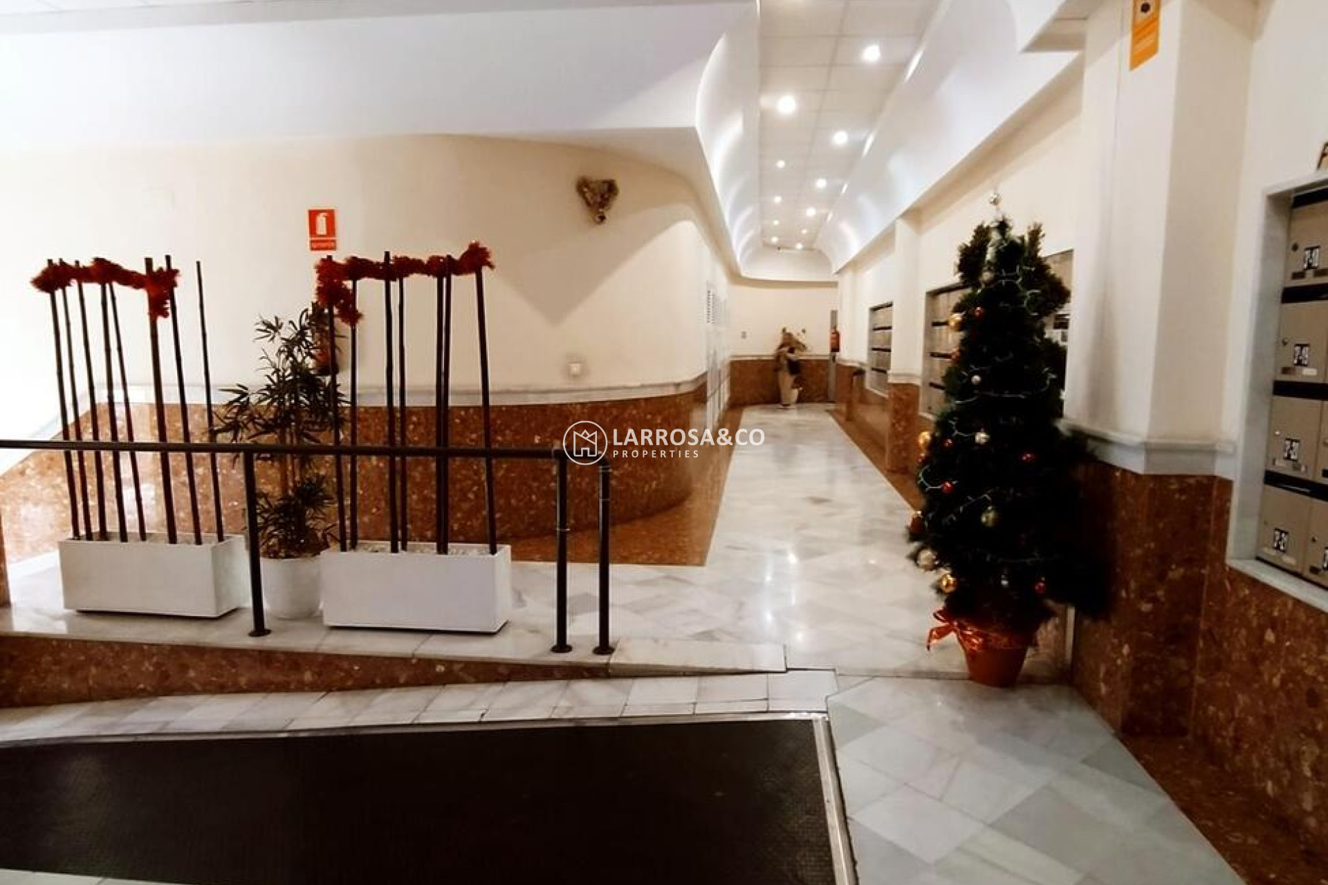 Вторичный рынок - Квартира - Торревьеха - torrevieja