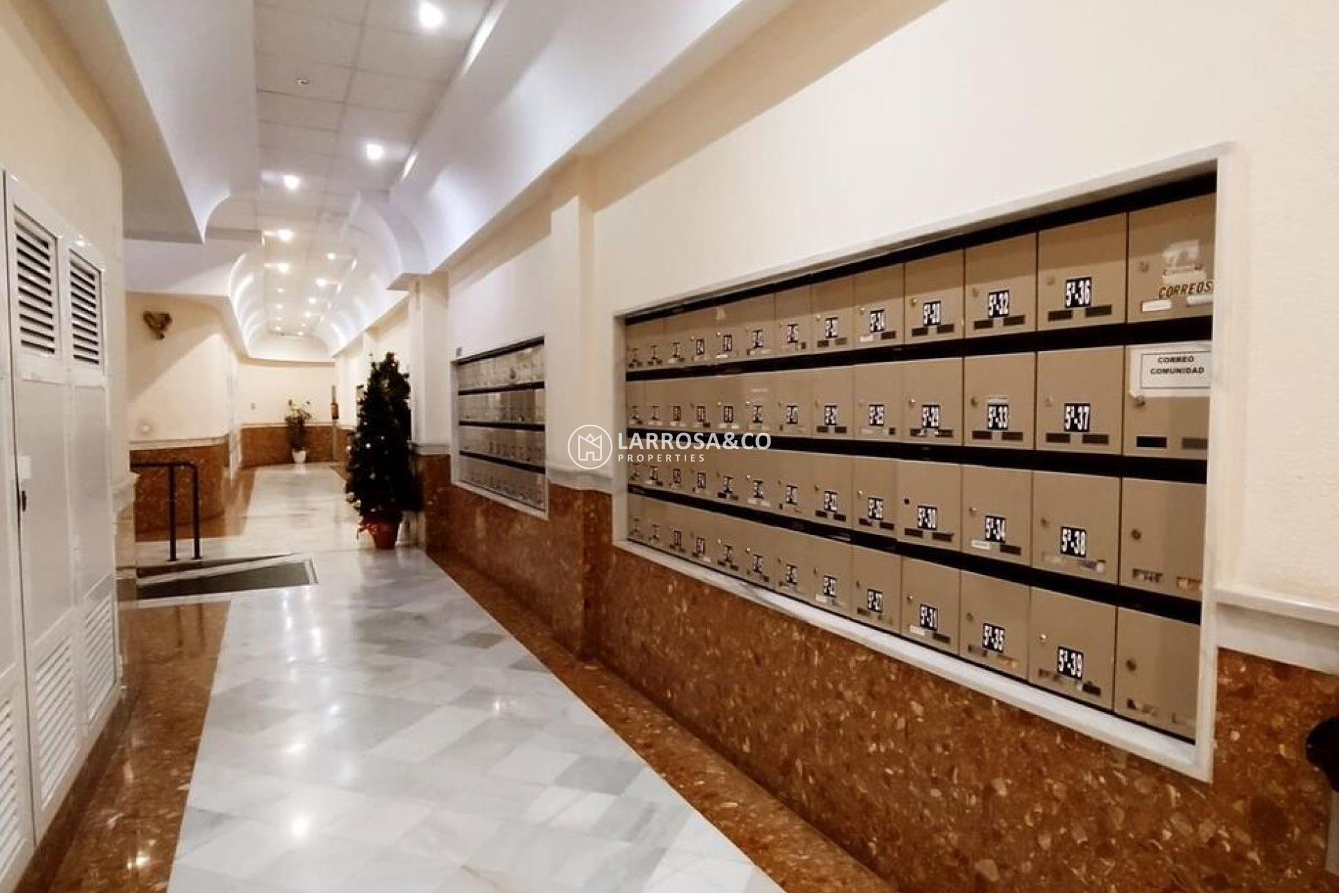 Вторичный рынок - Квартира - Торревьеха - torrevieja