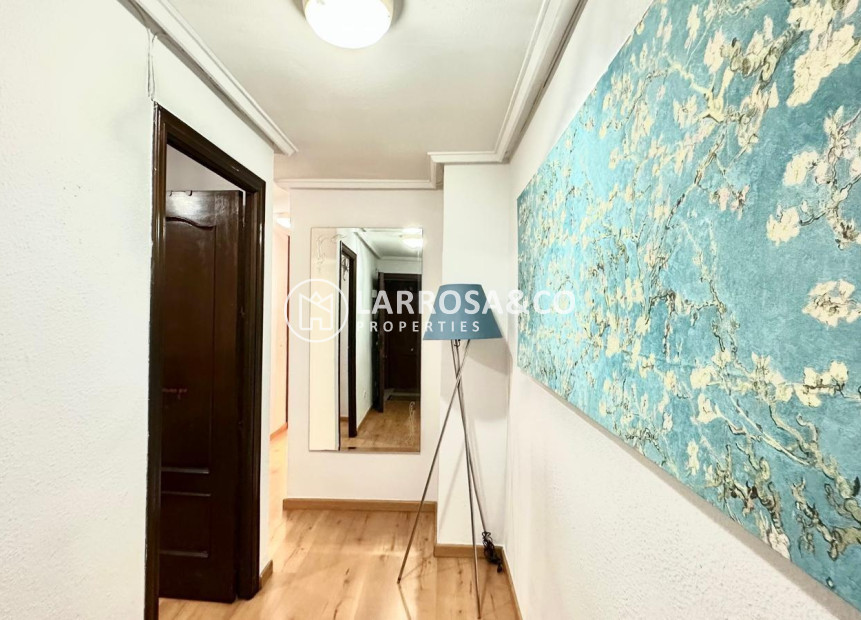 Вторичный рынок - Квартира - Торревьеха - torrevieja