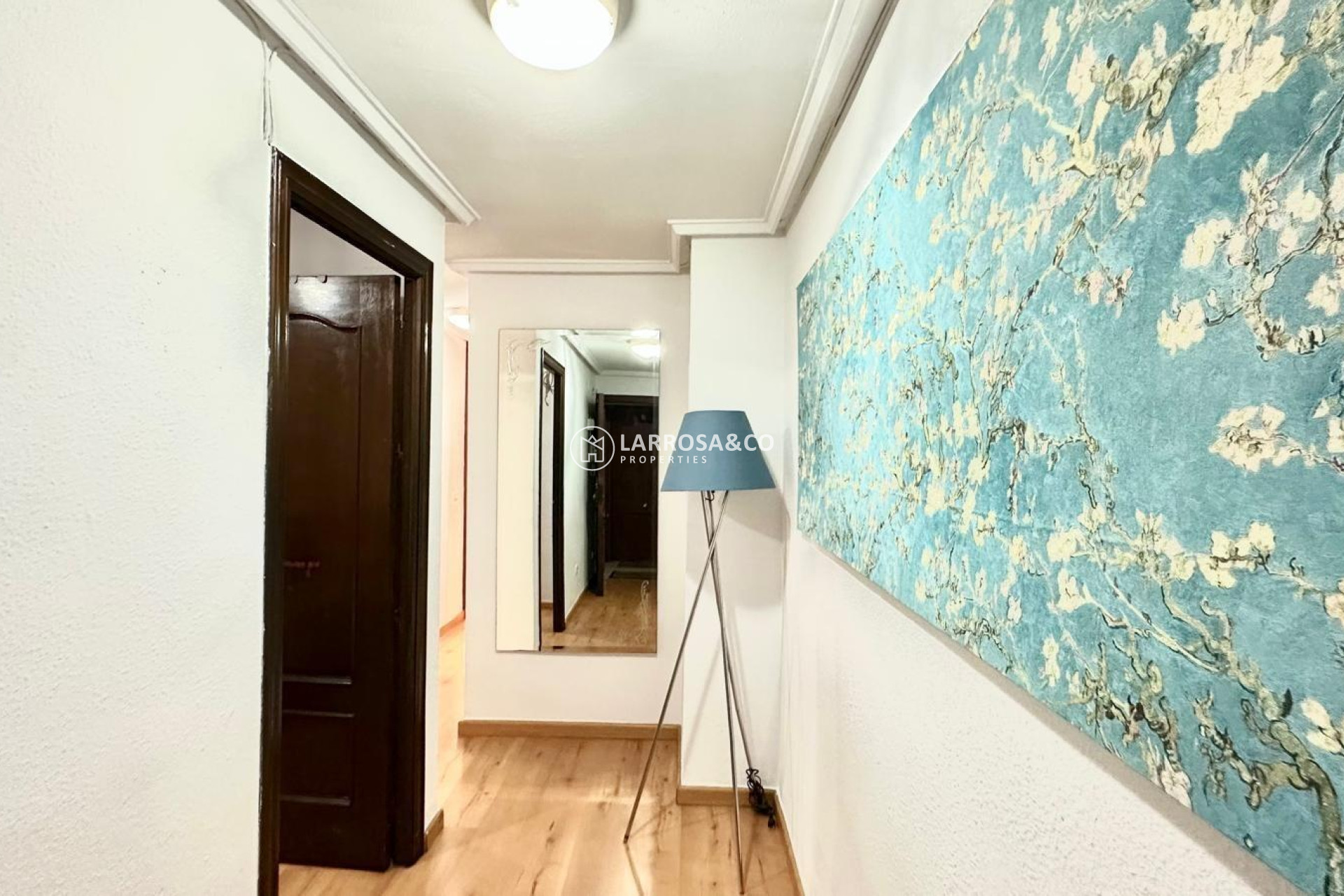 Вторичный рынок - Квартира - Торревьеха - torrevieja