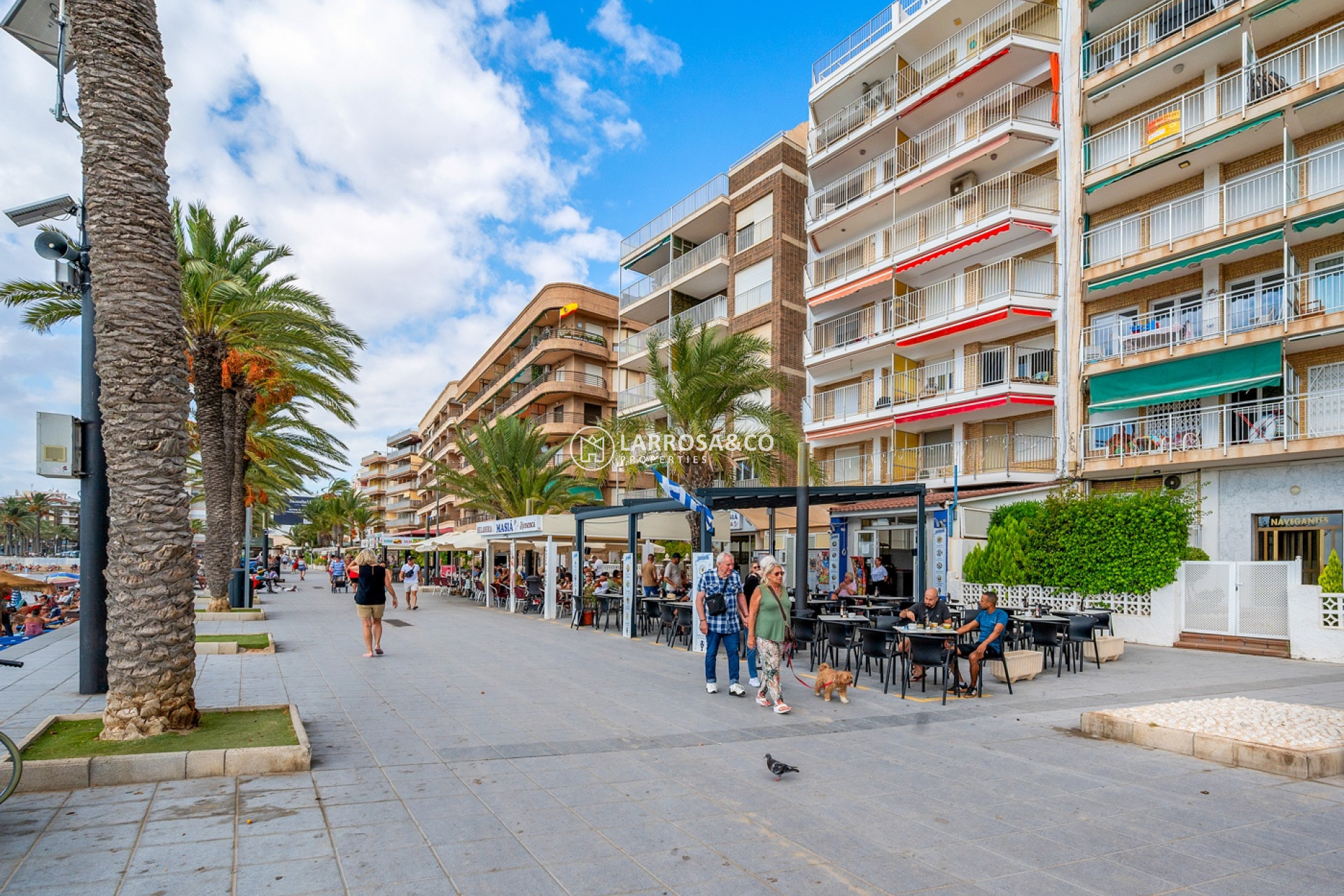 Вторичный рынок - Квартира - Торревьеха - torrevieja
