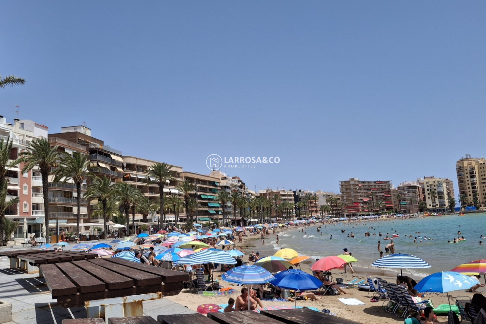Вторичный рынок - Квартира - Торревьеха - torrevieja