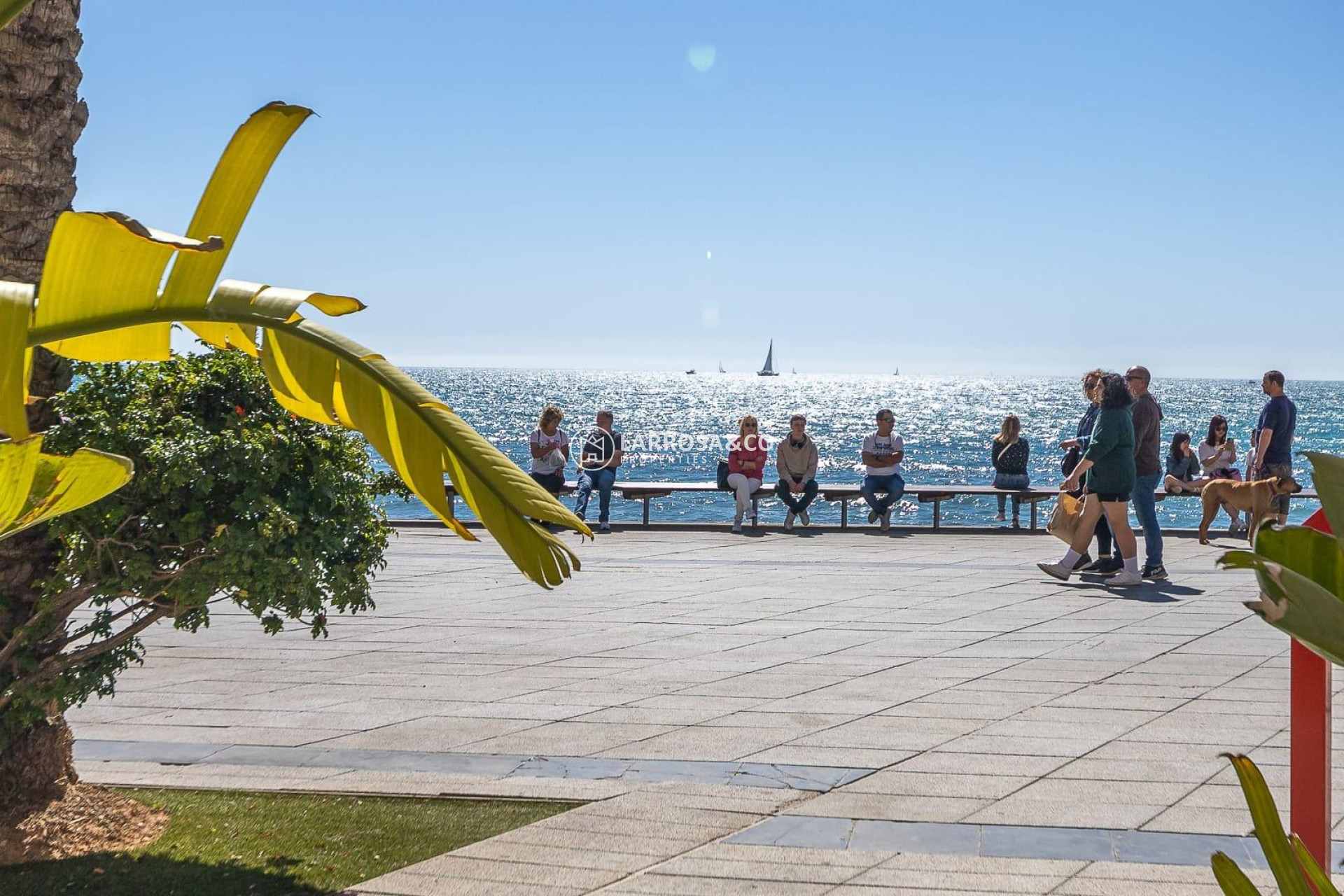 Вторичный рынок - Пентхаус - Торревьеха - Playa del cura