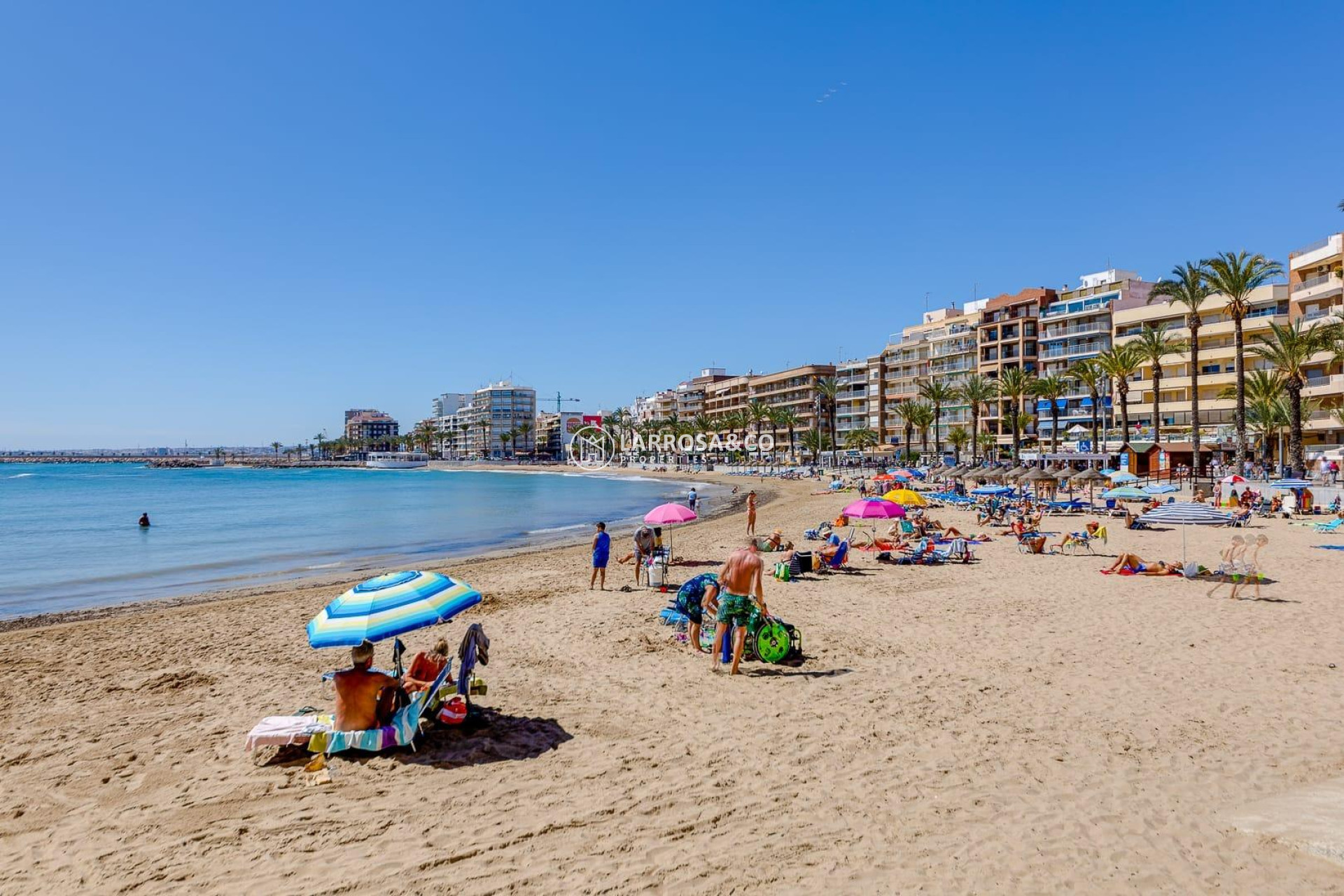 Вторичный рынок - Пентхаус - Торревьеха - Playa del cura