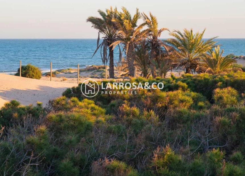 Вторичный рынок - Таунхаус - Гуардамар дель Сегура - Costa Blanca