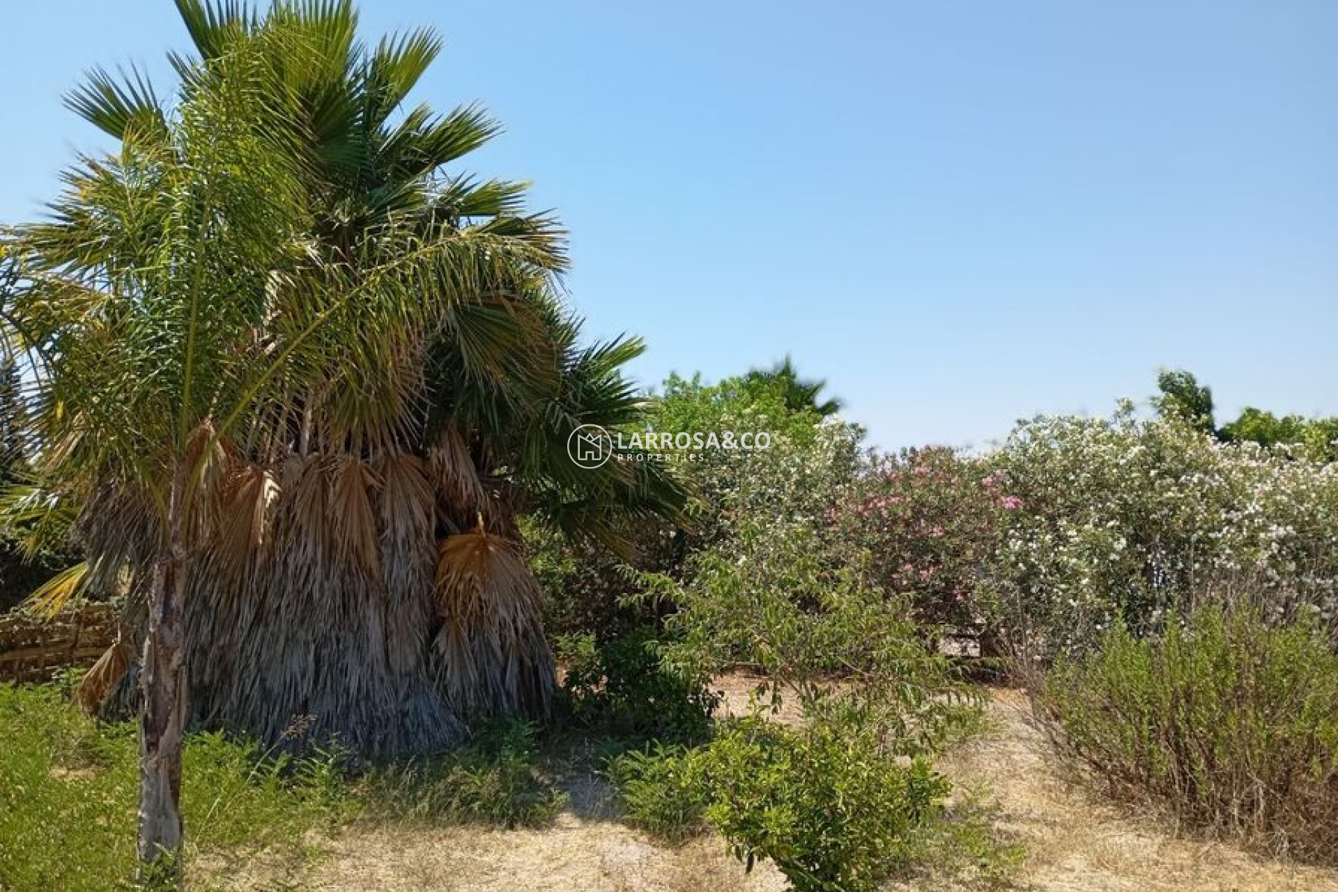 Вторичный рынок - Загородный дом - Daya Nueva - Costa Blanca