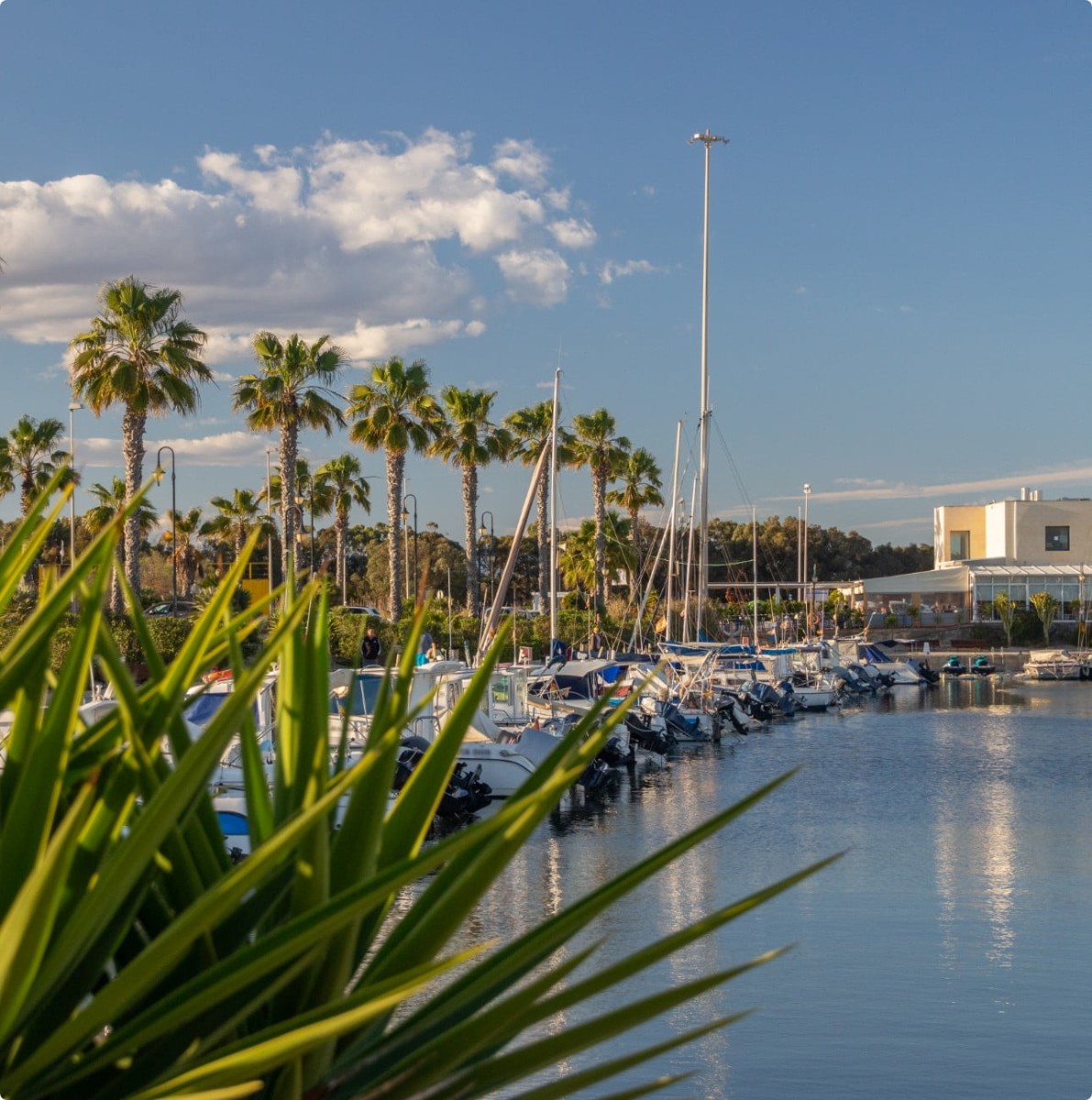 Your real estate agency in Guardamar del Segura 2