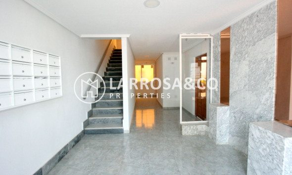 Location - Apartment - Ciudad Quesada