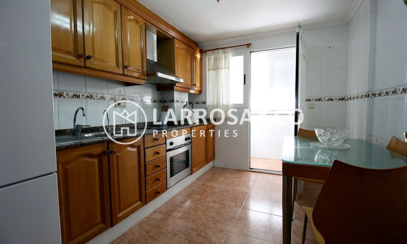 Long Term Rentals - Apartment - Torrevieja - Puerto