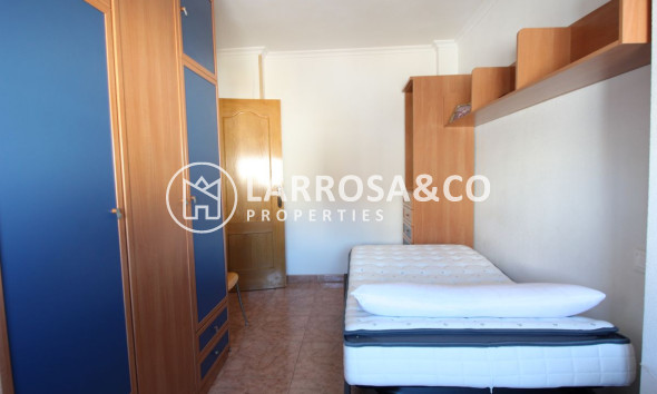 Alquiler larga estancia - Apartamento - Torrevieja - Puerto