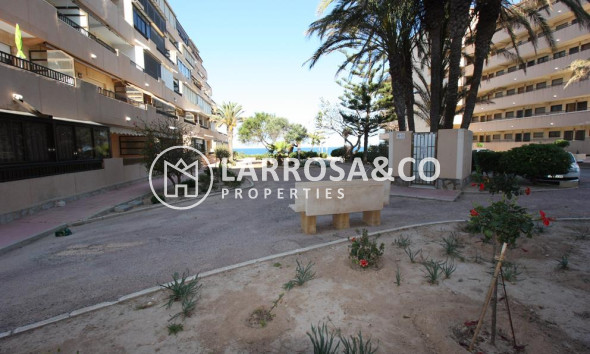 Herverkoop - Apartment - Torrevieja - Cabo cervera