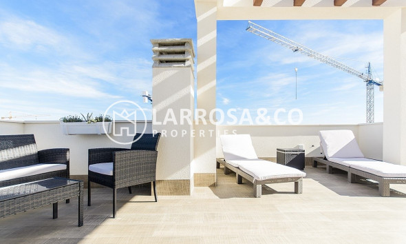 New build - Detached House/Villa - Los Montesinos - La Herrada