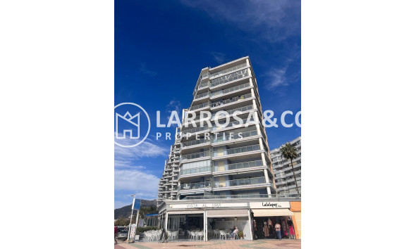 New build - Penthouse  - Calpe - Playa De La Fossa