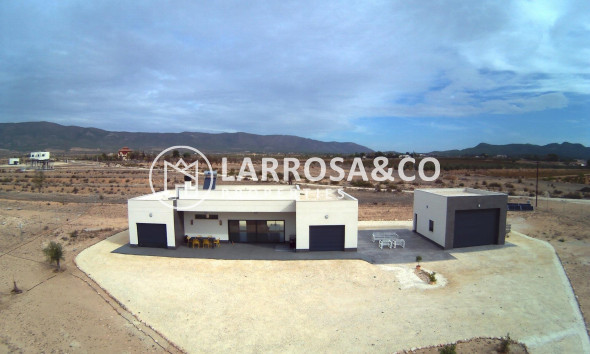 Nouvelle Construction - Villa - Pinoso - Camino Del Prado