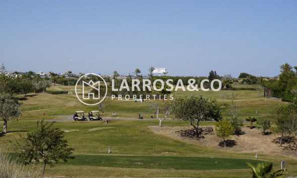 Obra Nueva - Chalet - San Javier - Roda Golf