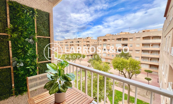 Вторичный рынок - Квартира - Гуардамар дель Сегура - MERCADONA