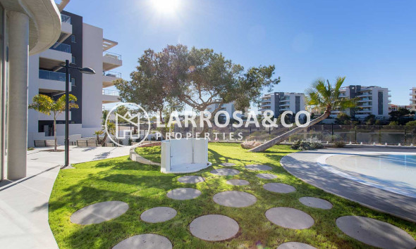 Obra Nueva - Apartamento - Orihuela costa - Los Dolses