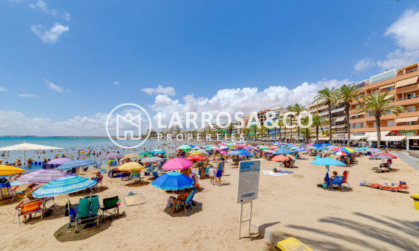 Вторичный рынок - Квартира - Торревьеха - Playa del cura