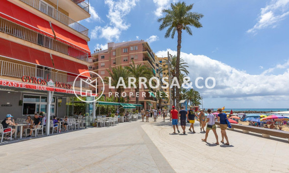Вторичный рынок - Квартира - Торревьеха - Playa del cura
