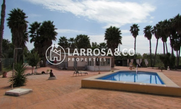 A Vendre - Country house - Elche
