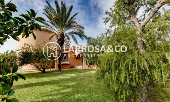 Resale - Detached House/Villa - Torrevieja - San luis