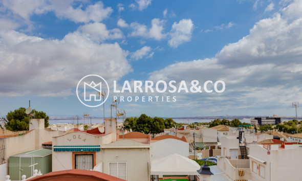 Resale - Semi-detached house - Torrevieja - Lago jardin