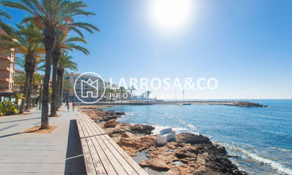 Reventa - Apartamento - Torrevieja - Paseo maritimo