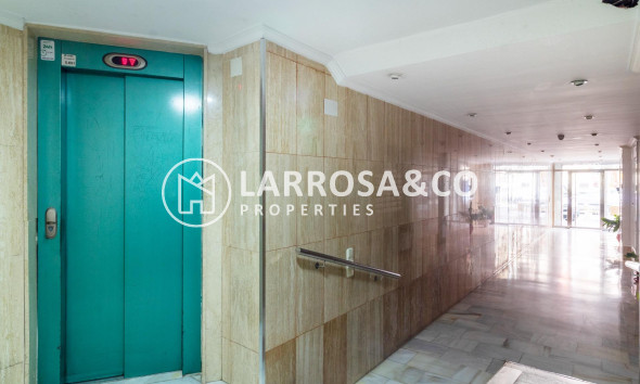 Long Term Rentals - Commercial space - Orihuela - Zona Centro